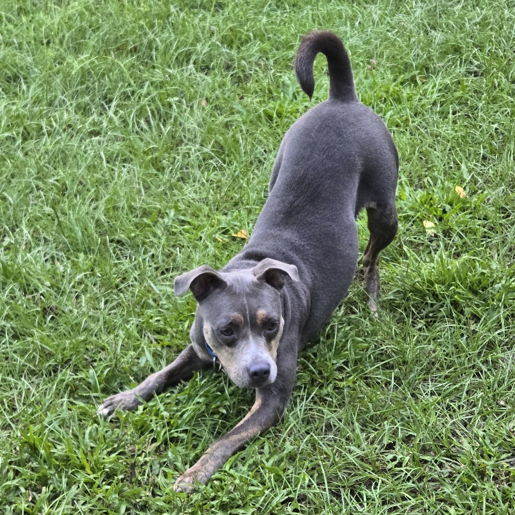 Zoe