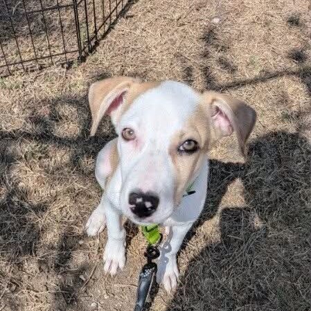 Photo of Chance