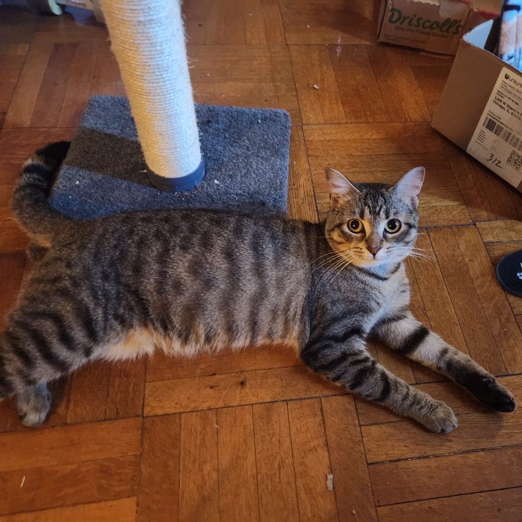 Photo of Pequod