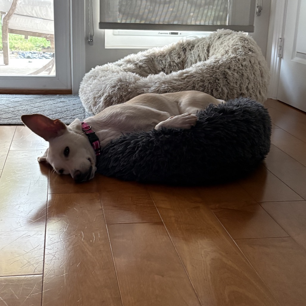 June, photo 10
