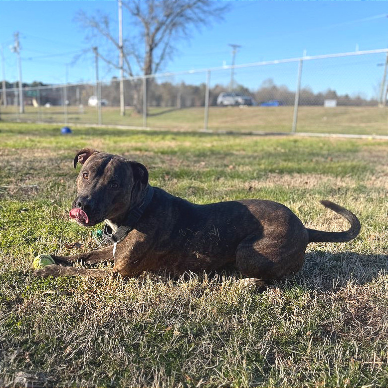 Keebler — thumbnail 10