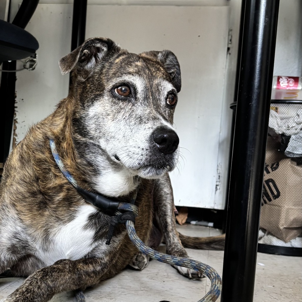 Fred, additional photo