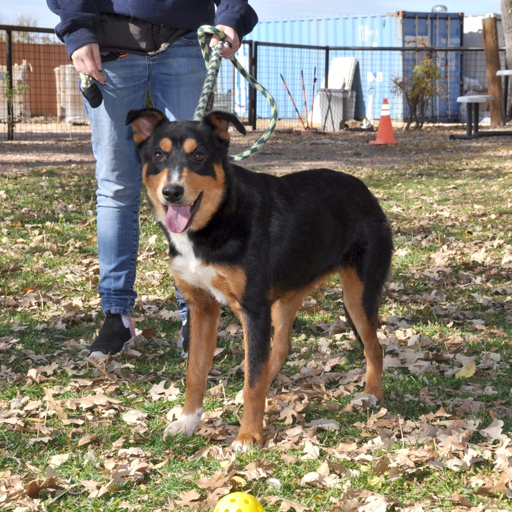 Mimi — thumbnail 3