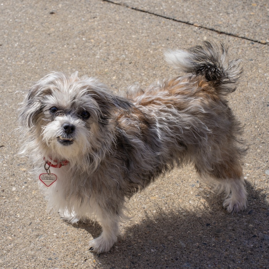 Mia-In Foster-See my Video! — thumbnail 6