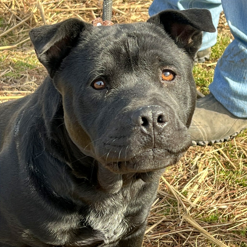 Leroy — thumbnail 9