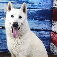 Photo of Casper
