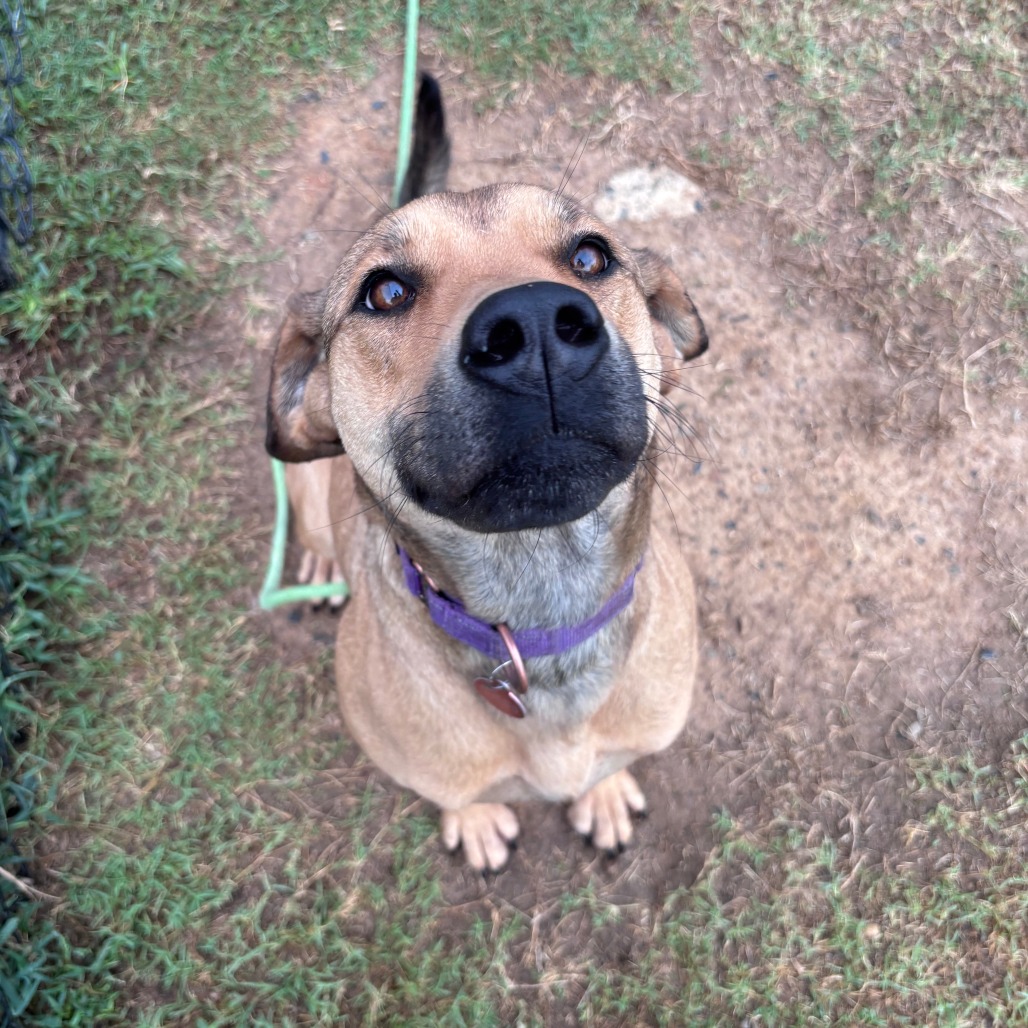 Perdita, photo 7