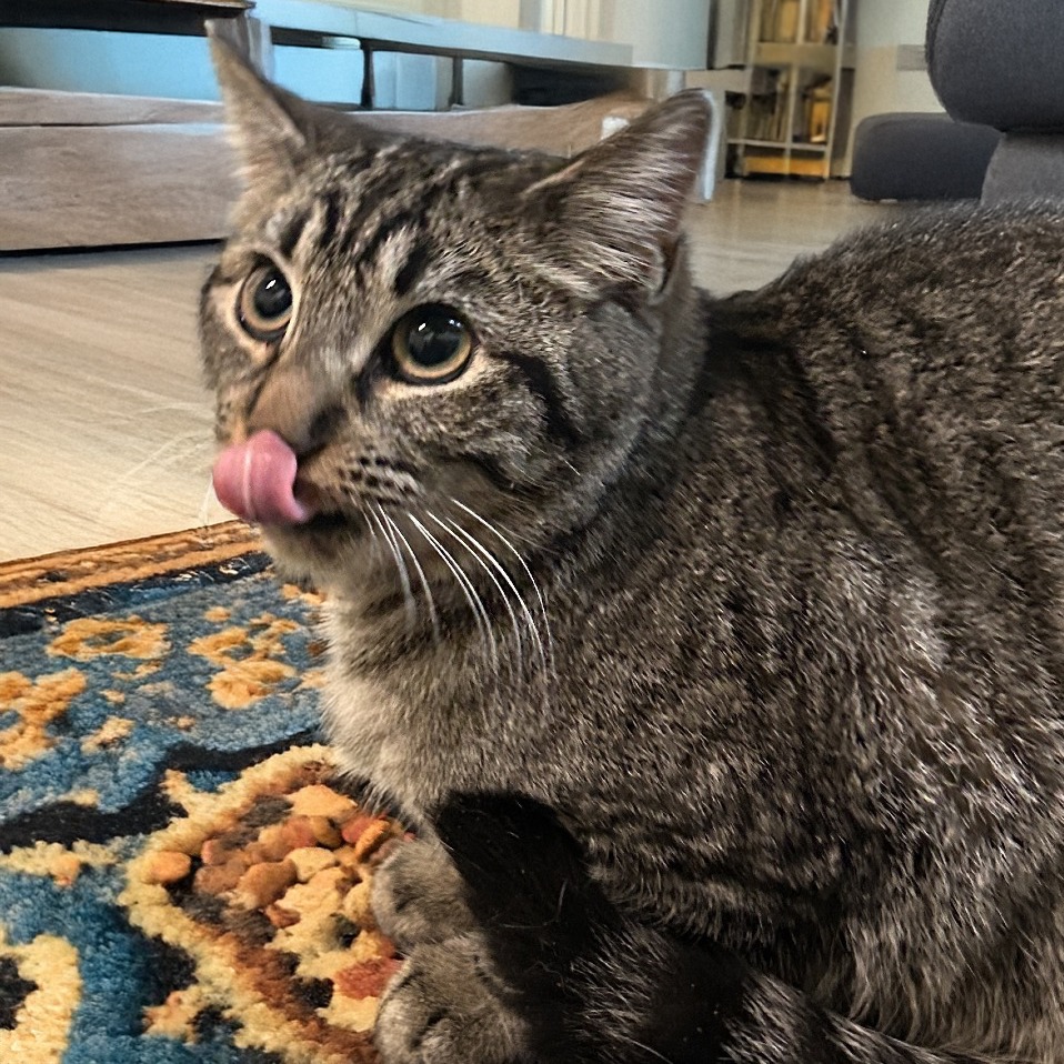 Casey — thumbnail 2