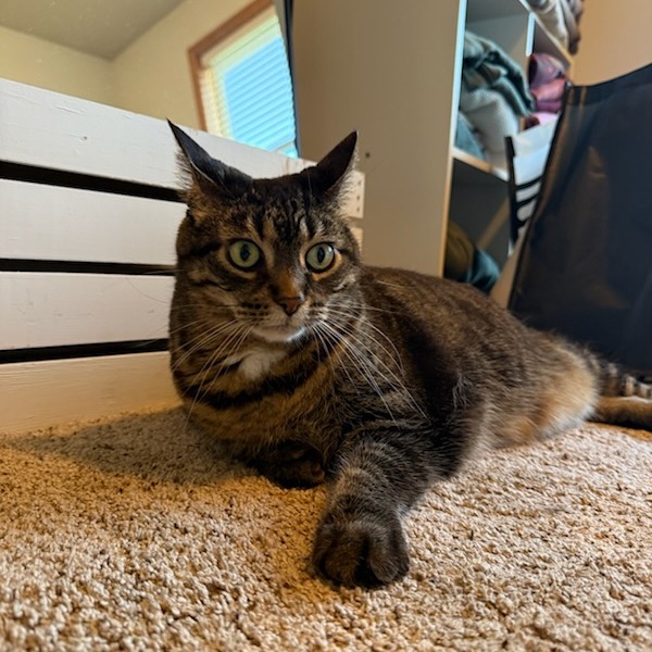Presley--In Foster, photo 6