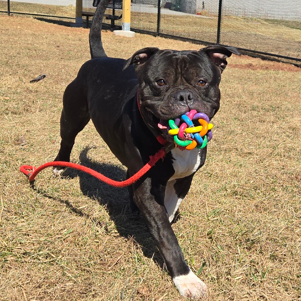 476290ee1d050be2c3381eabfc5c7a67