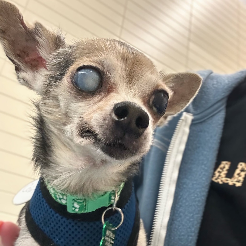 Coin 13854 — thumbnail 3