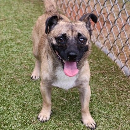 CT Butterball avail Sep 12