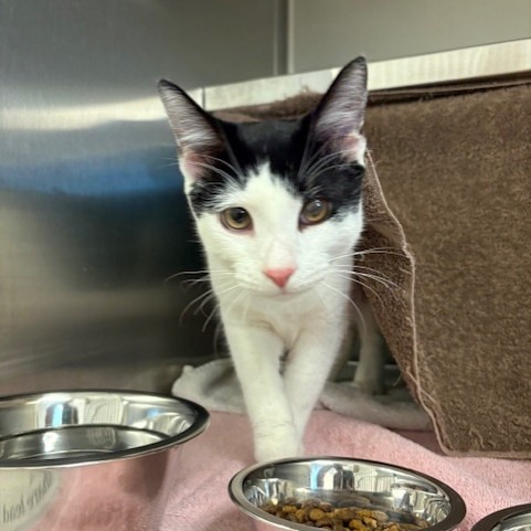 Photo of Huey Lewis 3