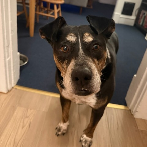 Mocha, photo 19