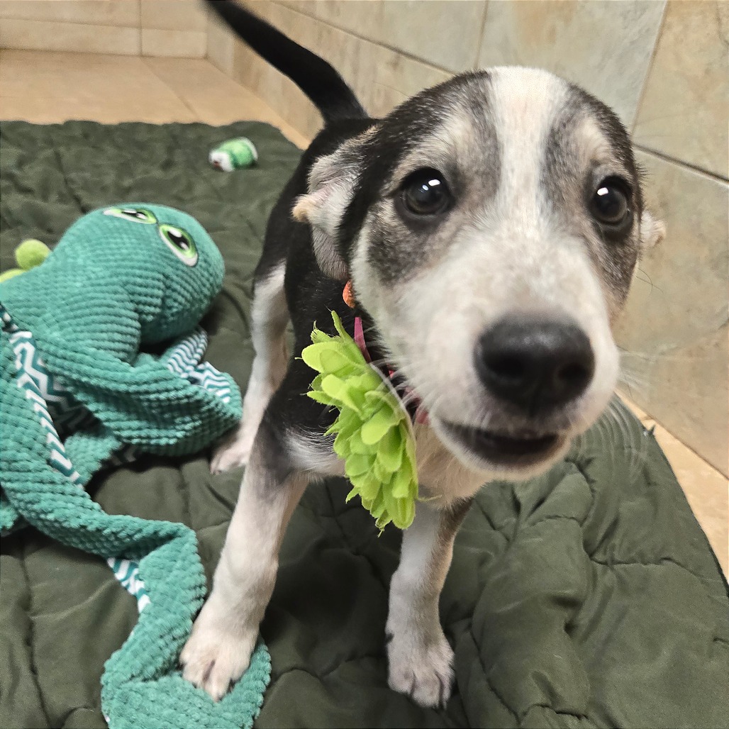 Bologna — thumbnail 10