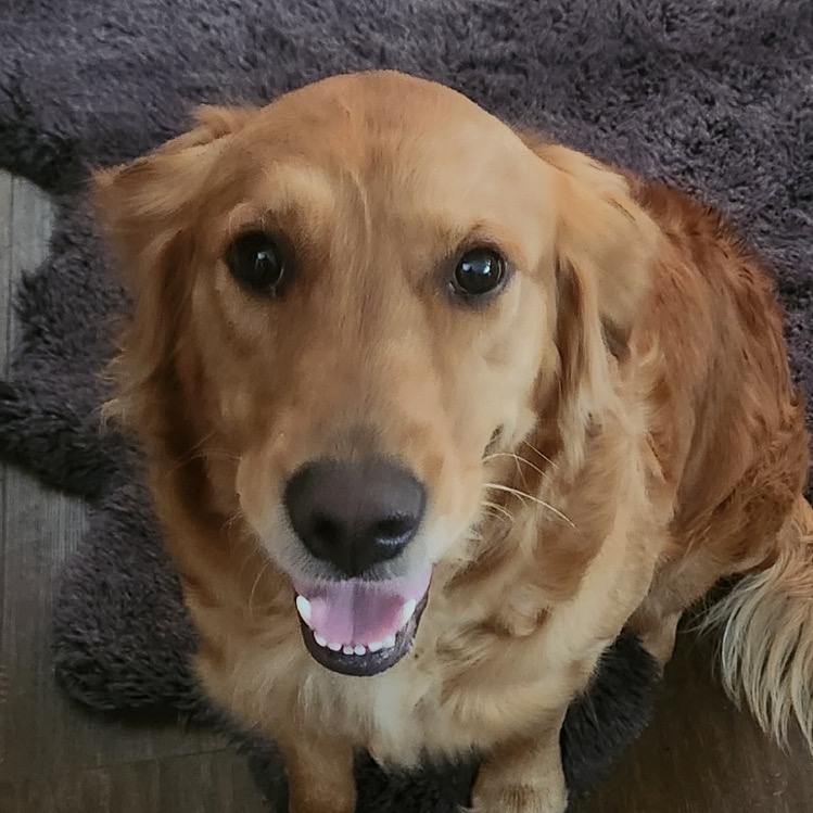 Penny
