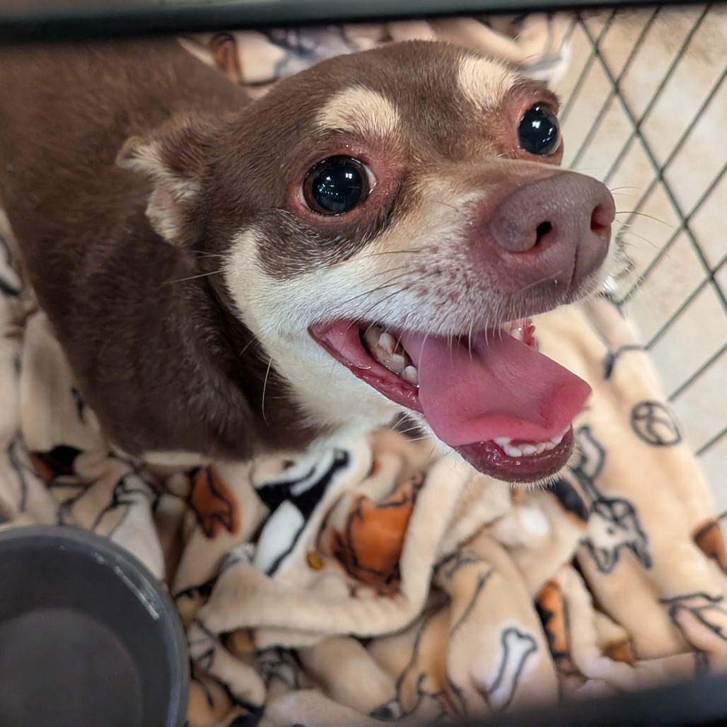 Tara