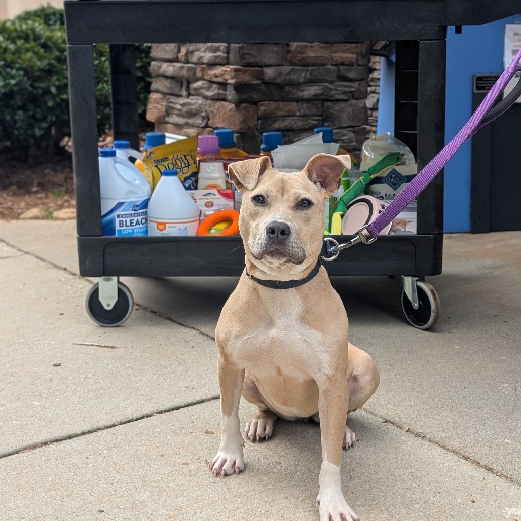 Pippa 01-1426, photo 3