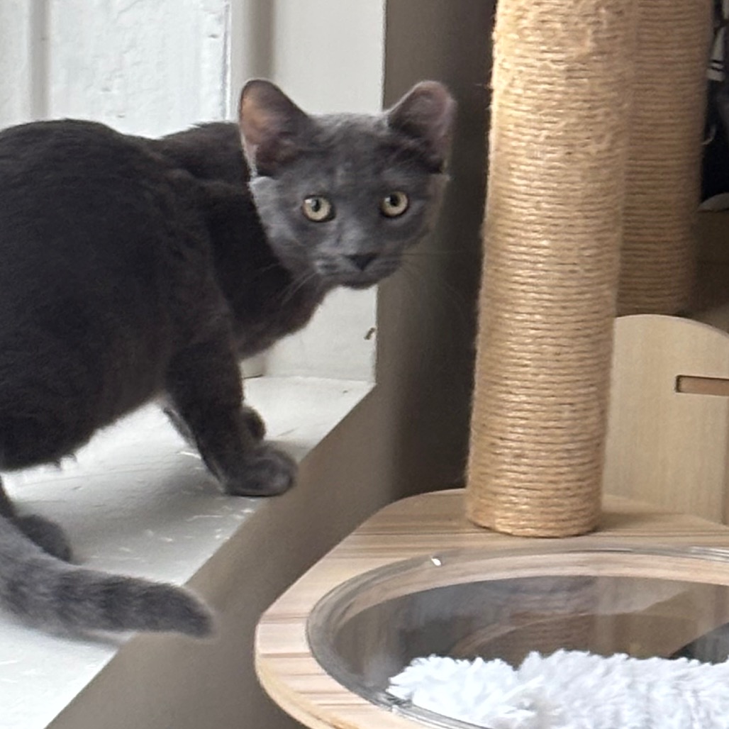 Sunset and Horizon - We're a bonded pair!