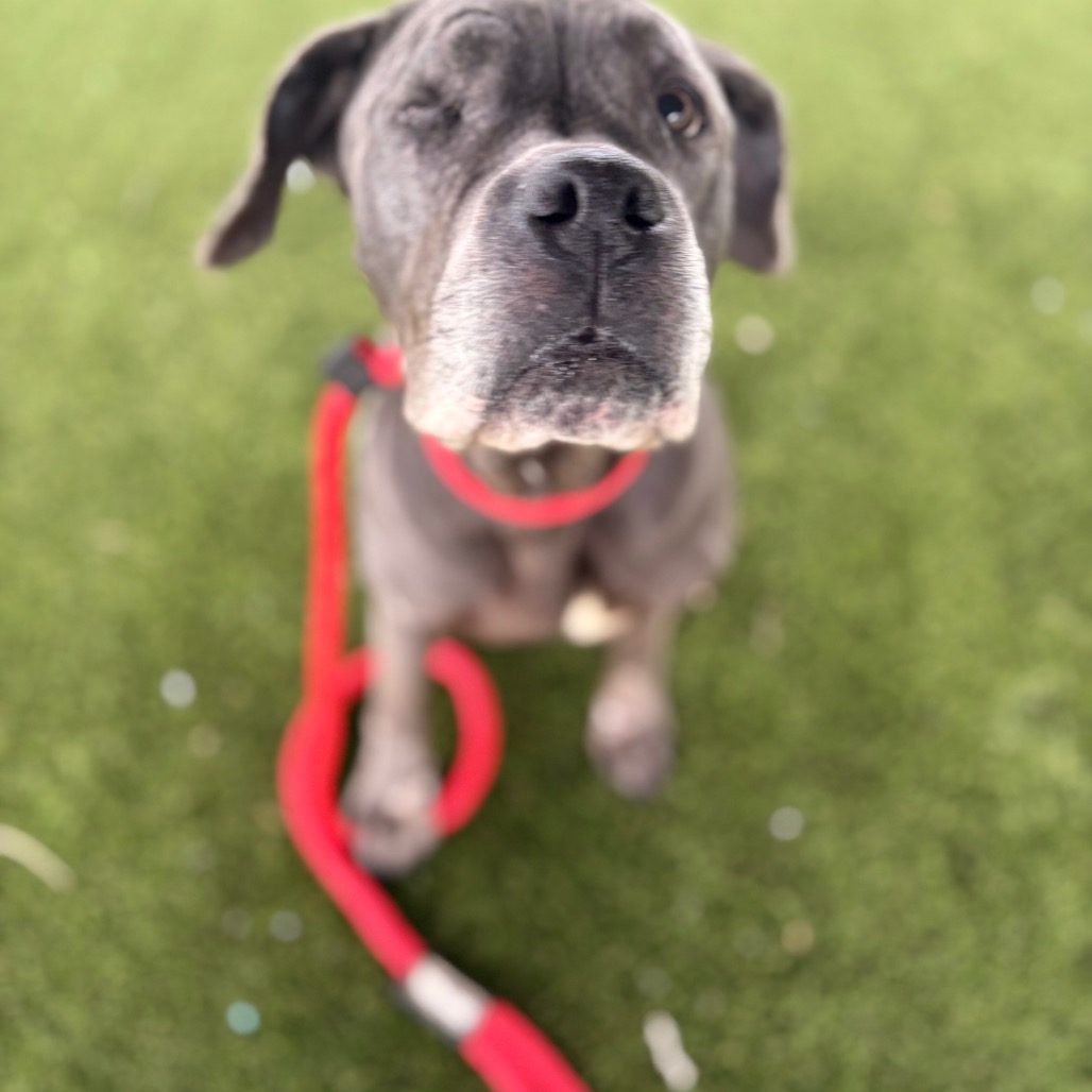 Ragtime — thumbnail 5