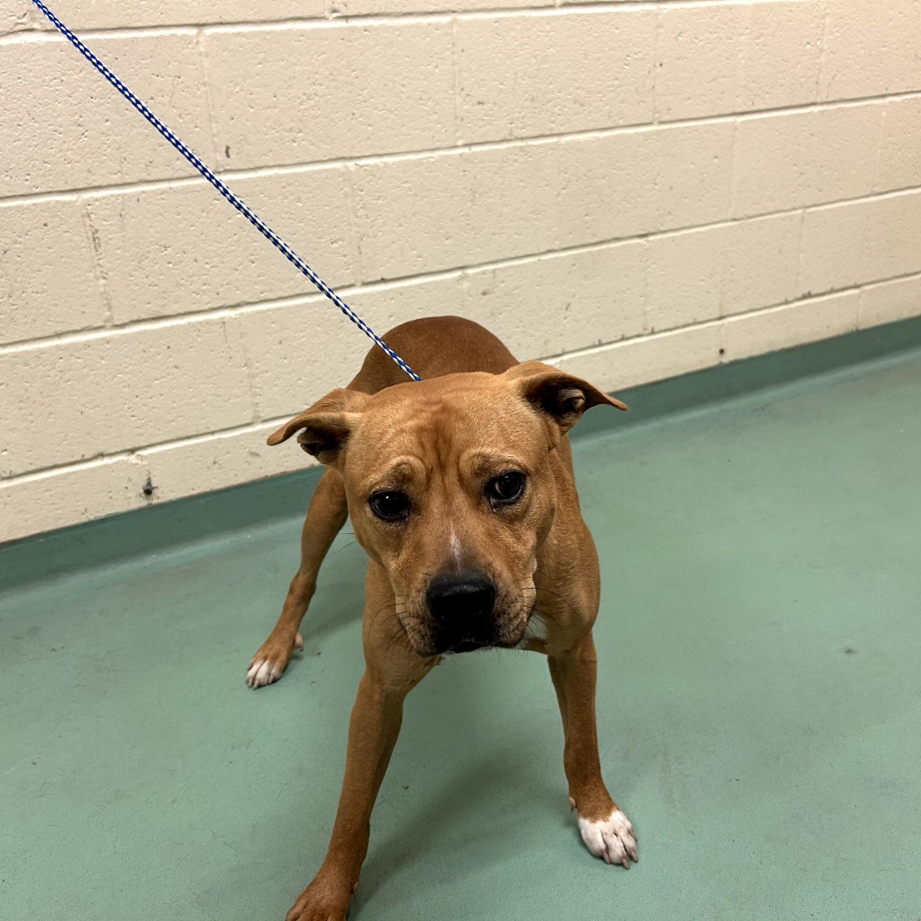 Sandy — thumbnail 2