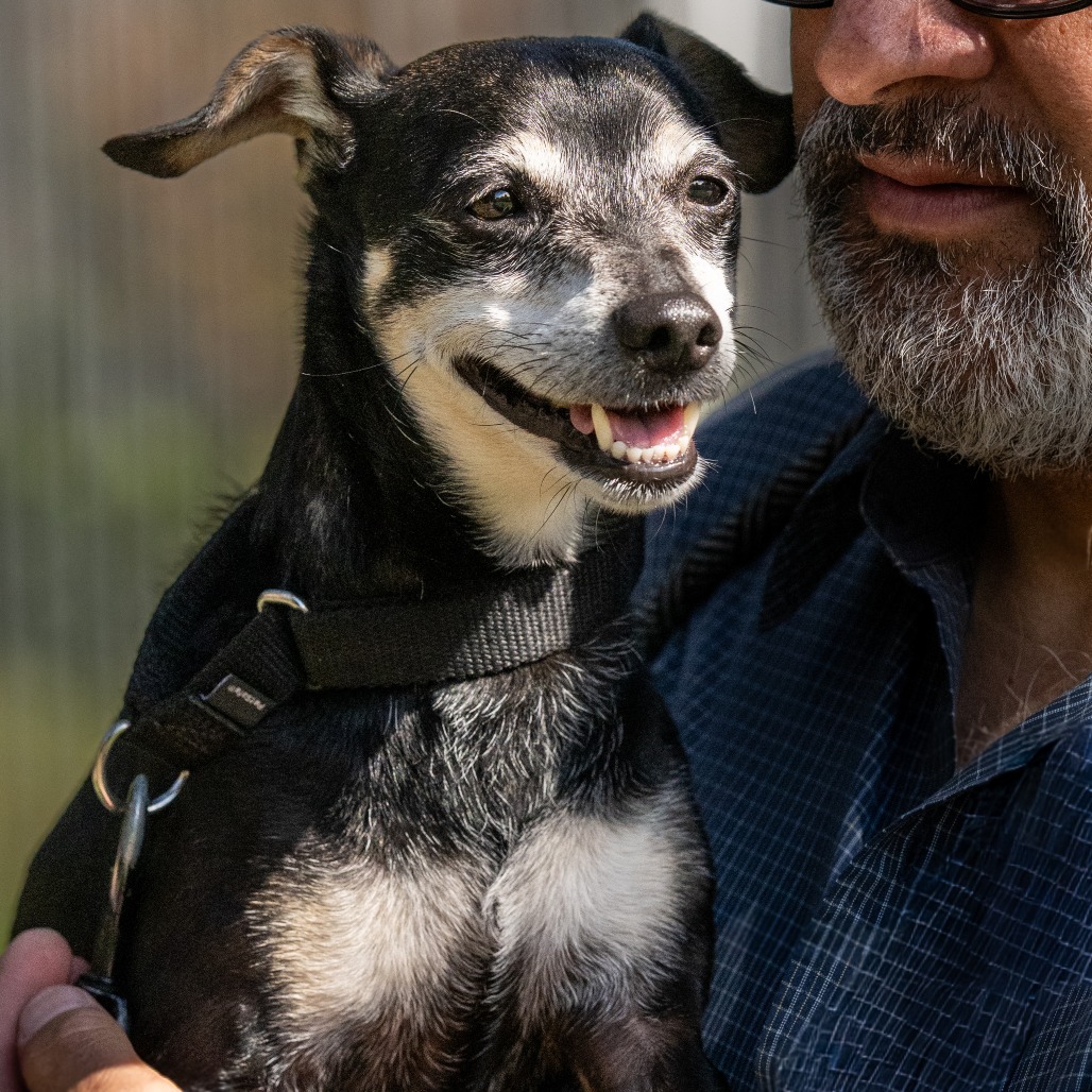 Animal namedHennessy