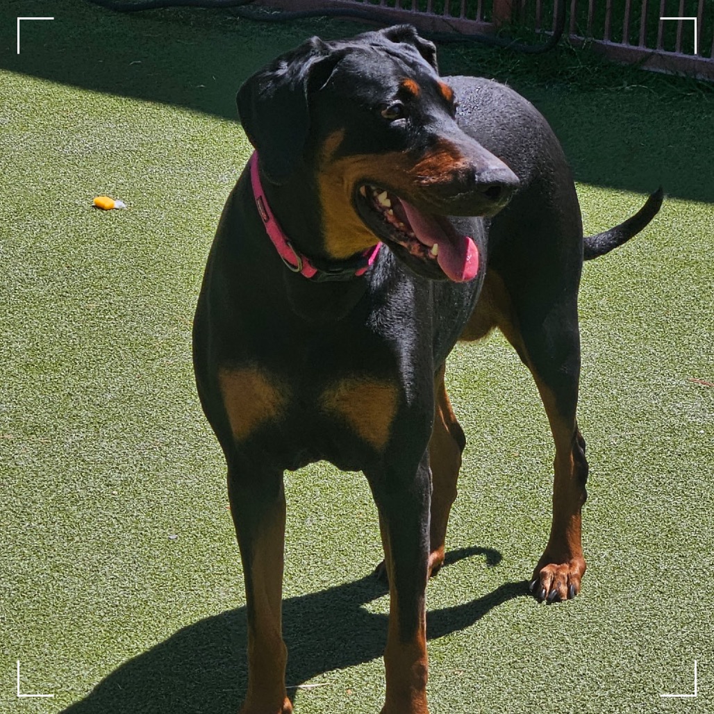 THELMA, photo 5