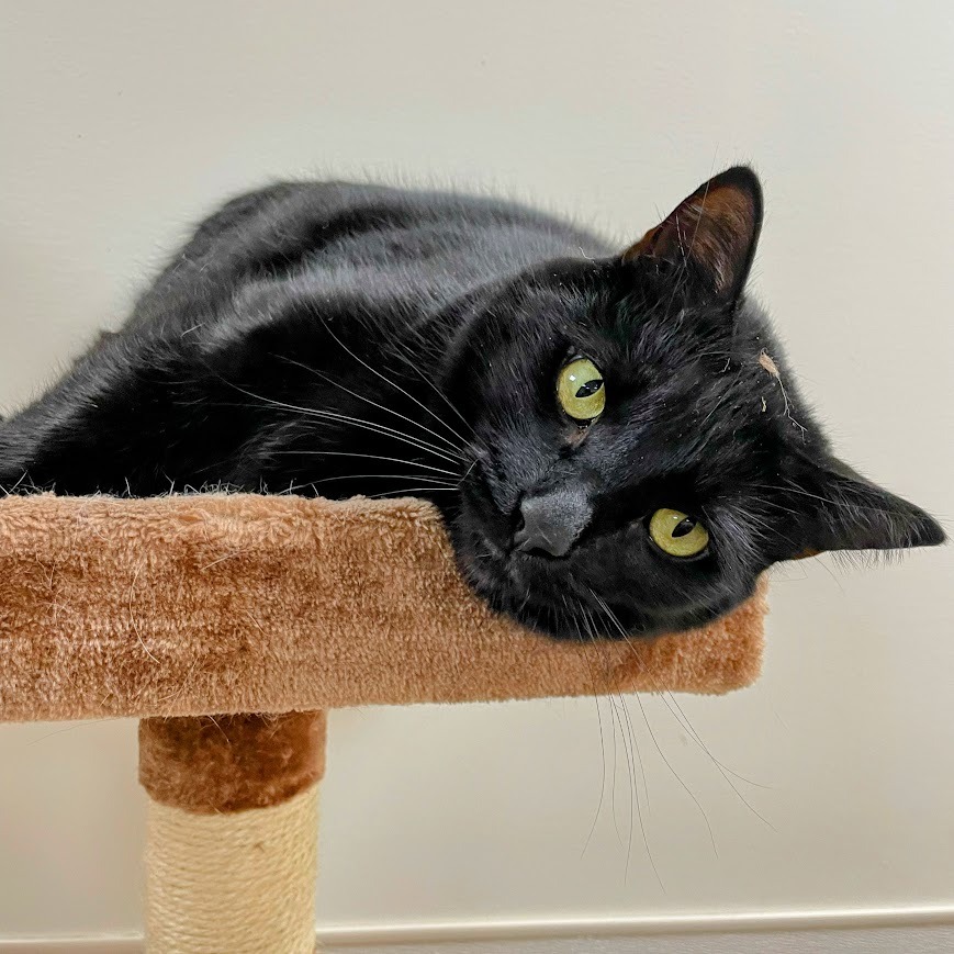 Charity — thumbnail 5