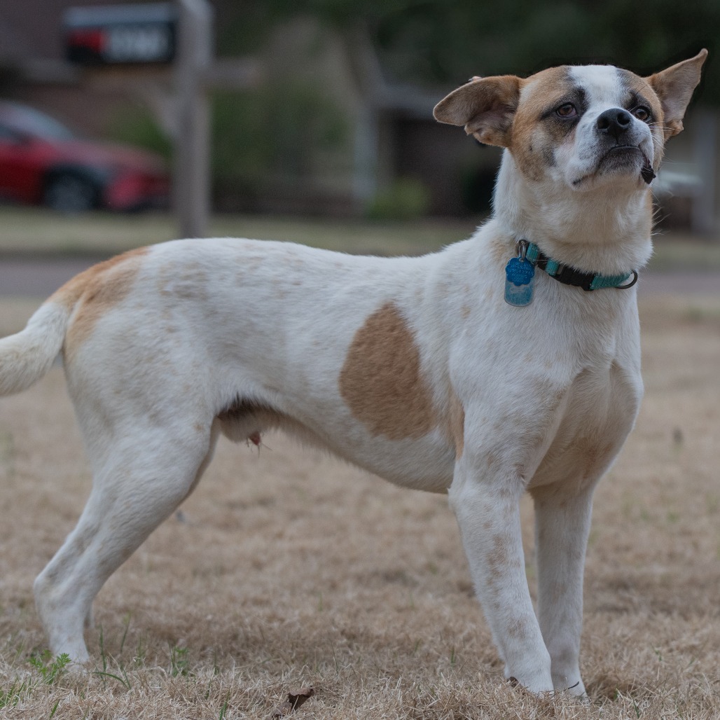 Stitch (Formerly Lava), photo 6