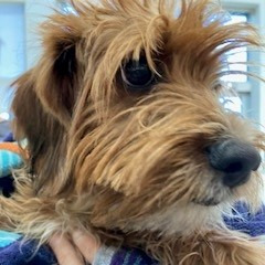 d5b9e0bdce62c24b1b98c71a134ddf07