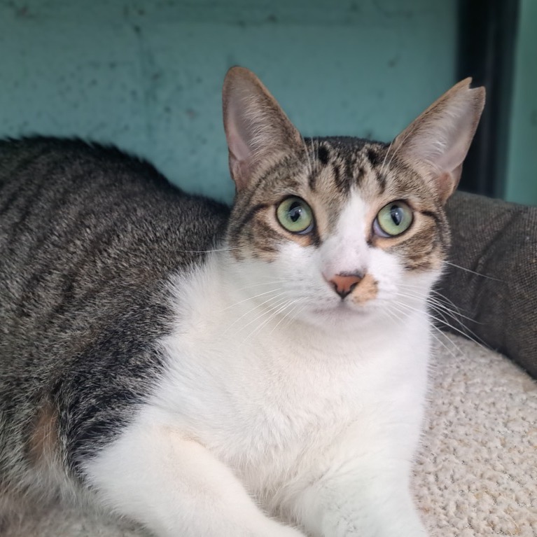 Full body shot of Tulip