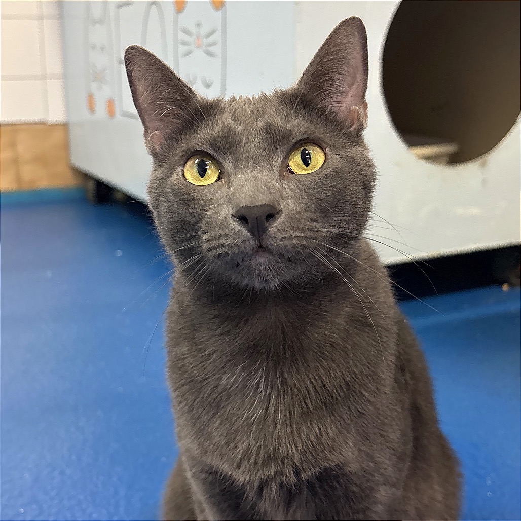 Another portrait of Wybie