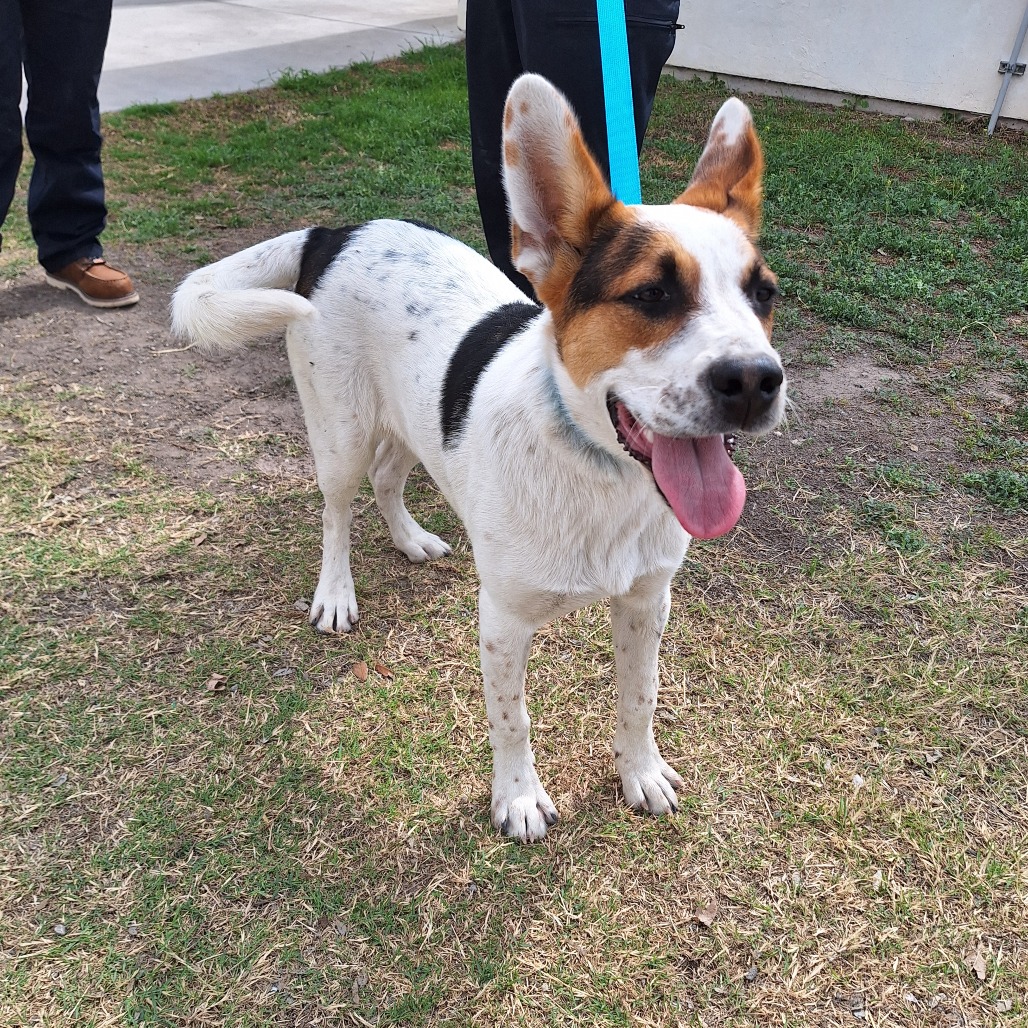 Radar — thumbnail 8