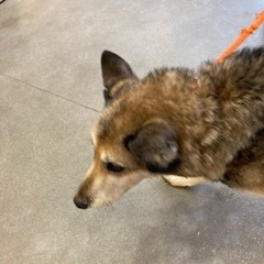 b8b634ba5048e7ee1515918dc9f758c1