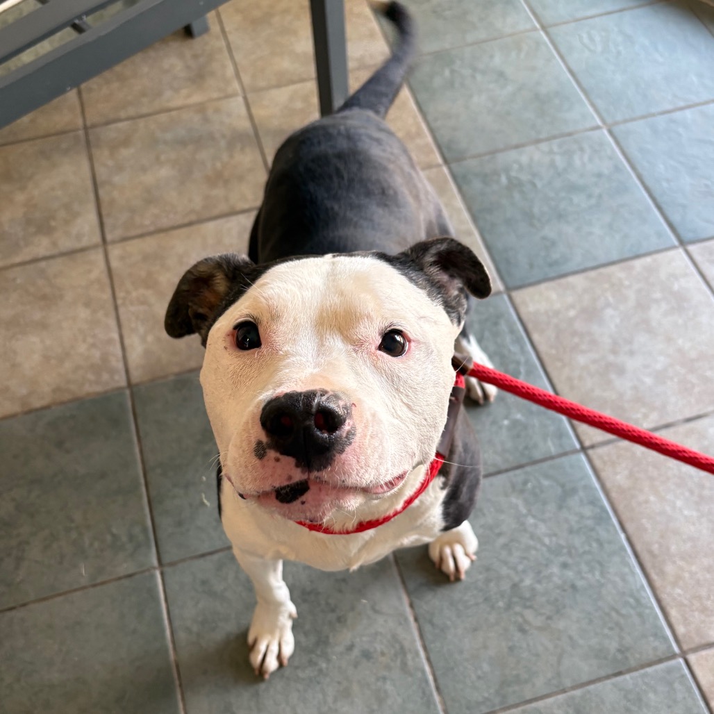 Sallie Mae — thumbnail 5