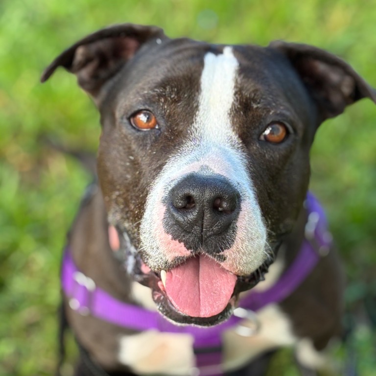 Close-up photo of Emelia