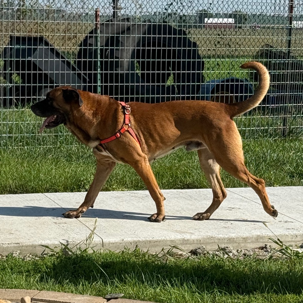 Kodak, photo 8
