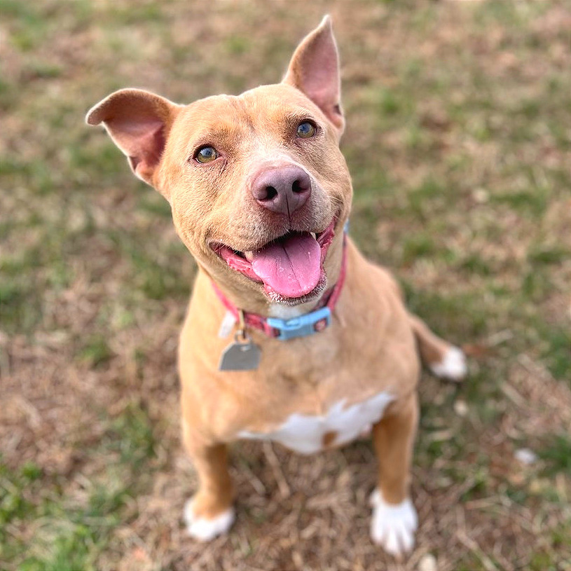 Harbor — thumbnail 5