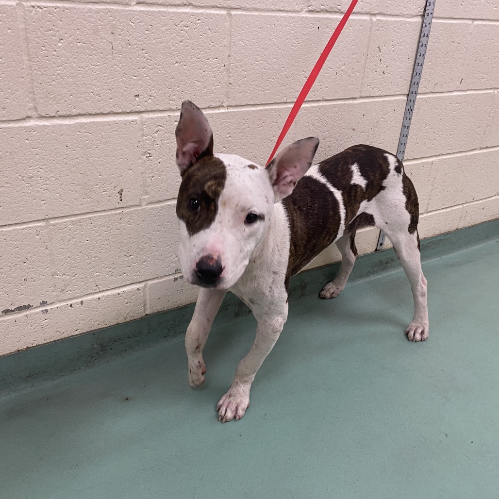 Paul — thumbnail 2