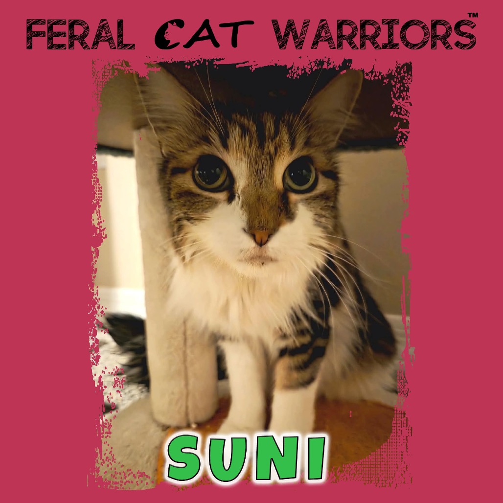 Suni