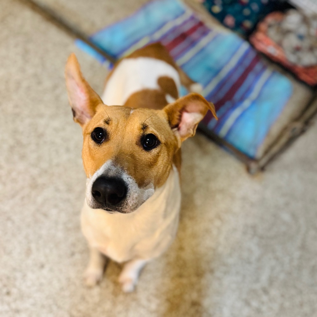 Nicole — thumbnail 3