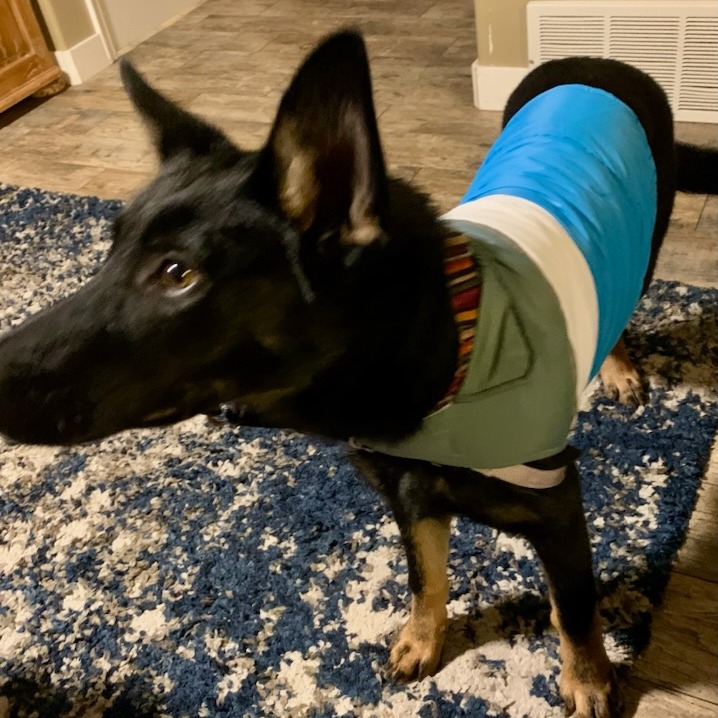 Amore — thumbnail 3