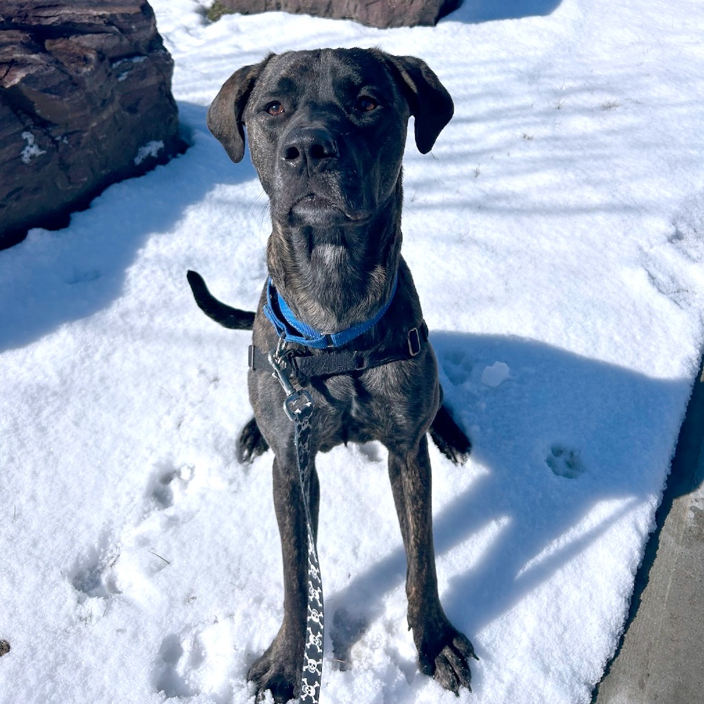 Earl, photo 15