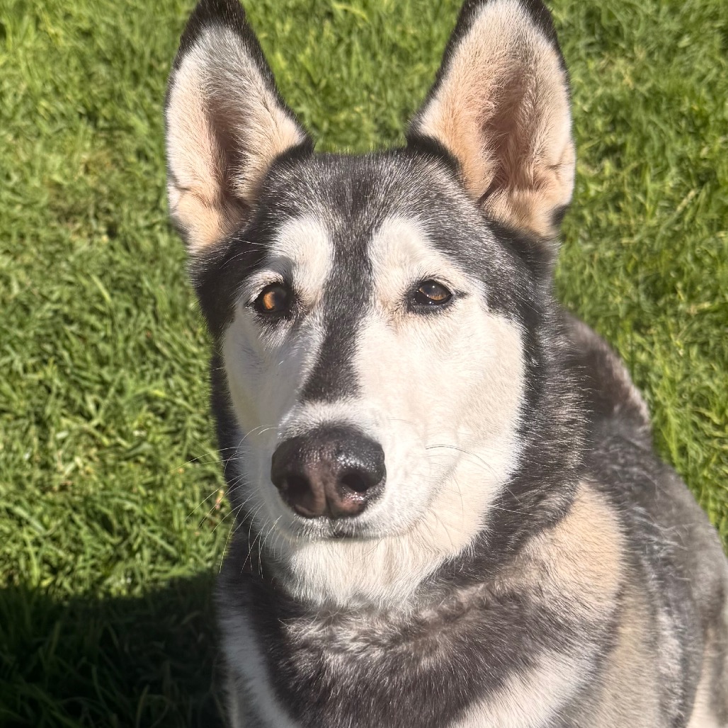 Tundra, photo 4