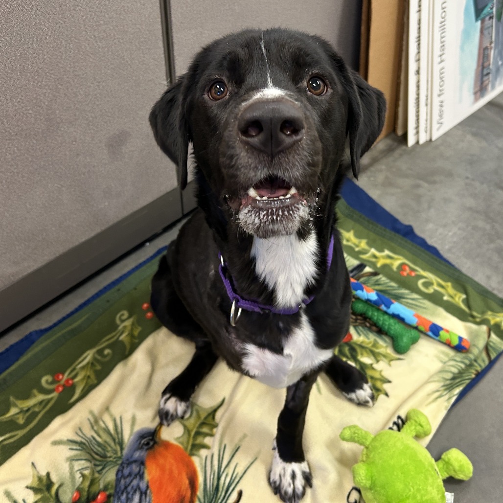 Photo of T.L. Frank 5