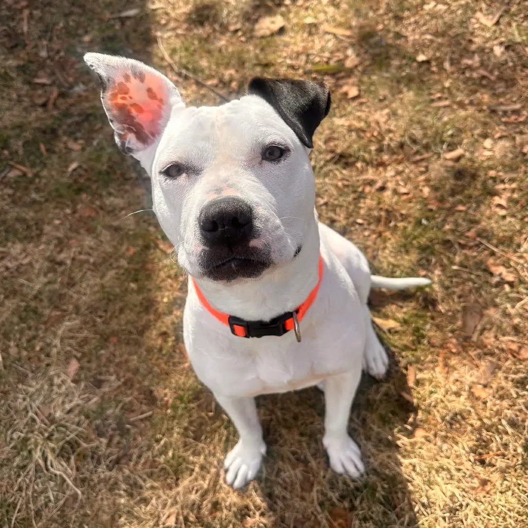 Flaca — thumbnail 7