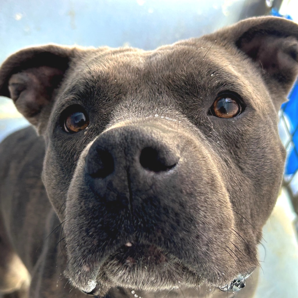 NALA BELL, photo 12