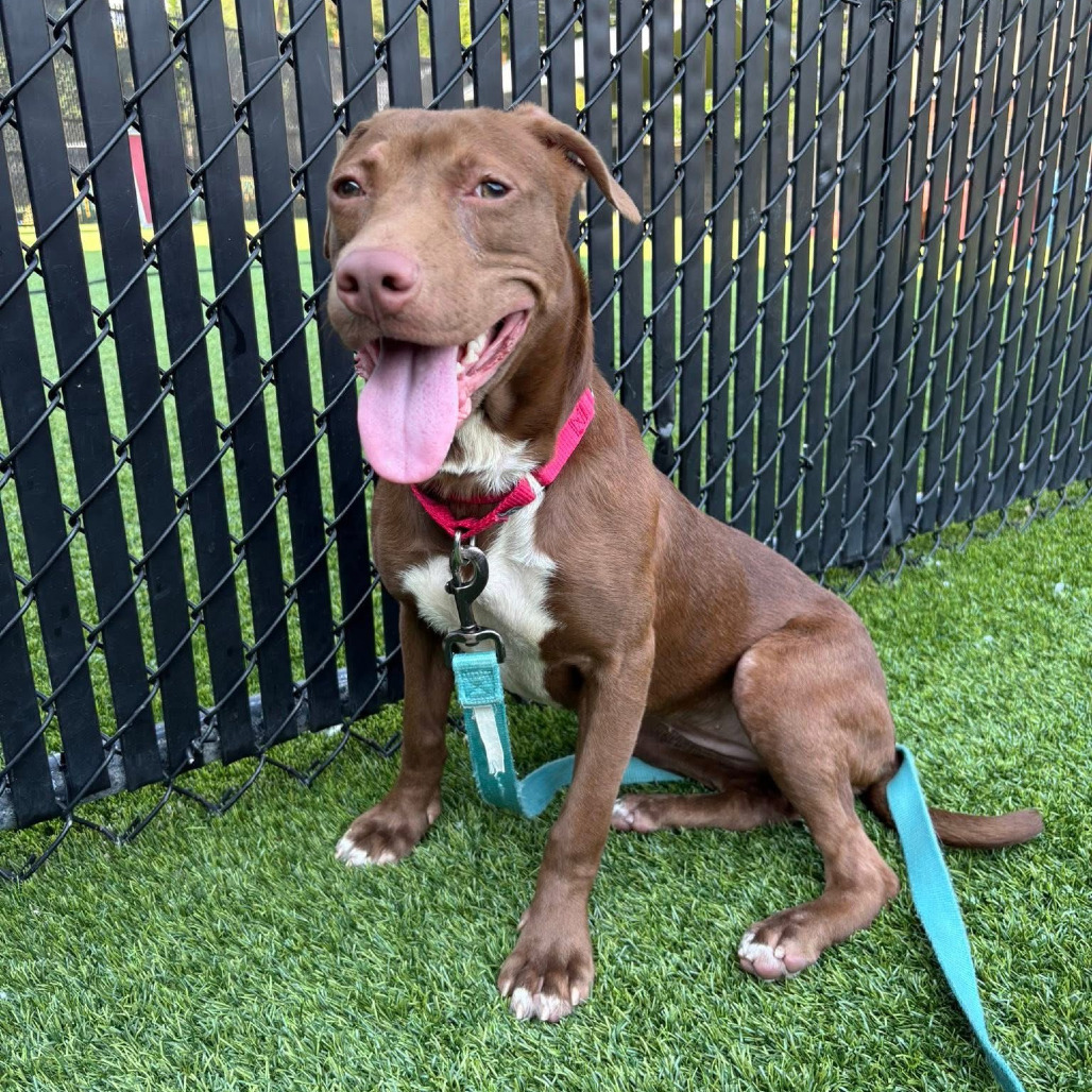 Photo of Starcraft 9