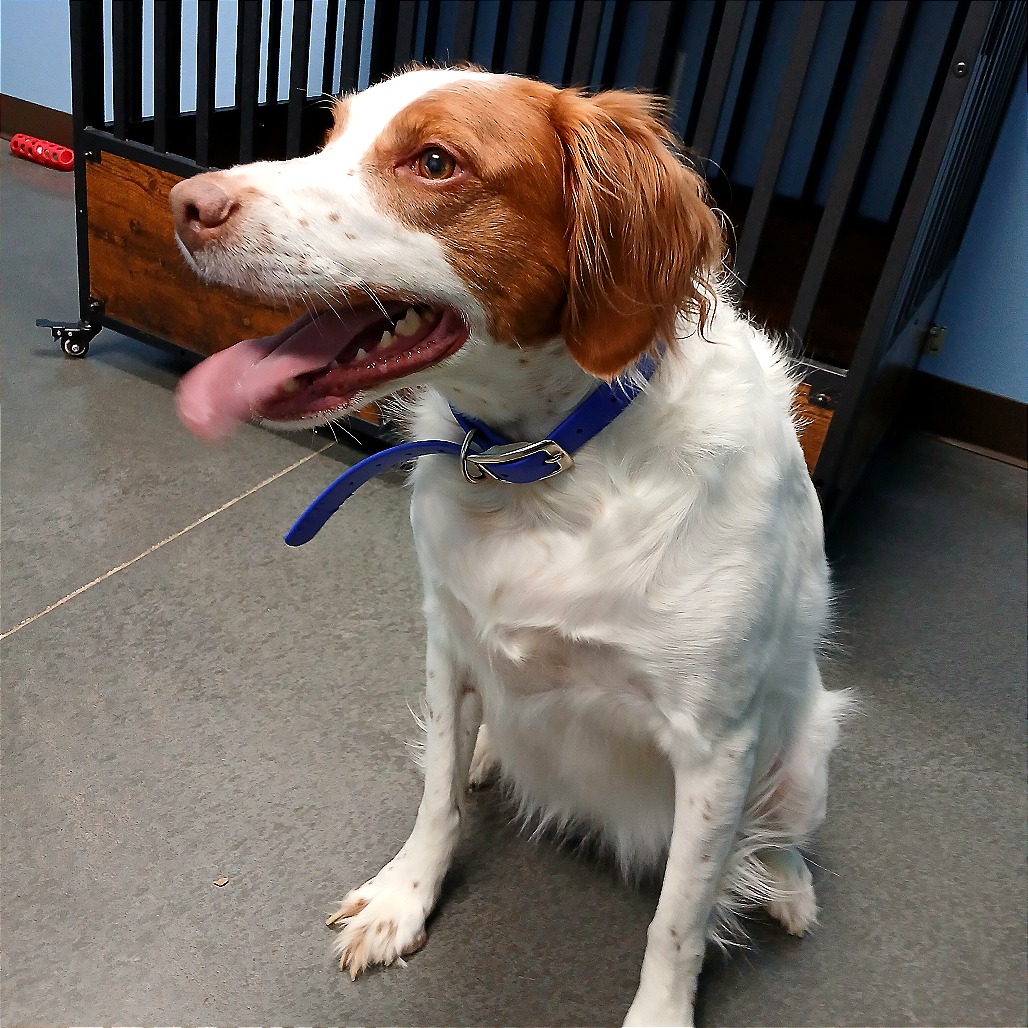 Annie — thumbnail 6