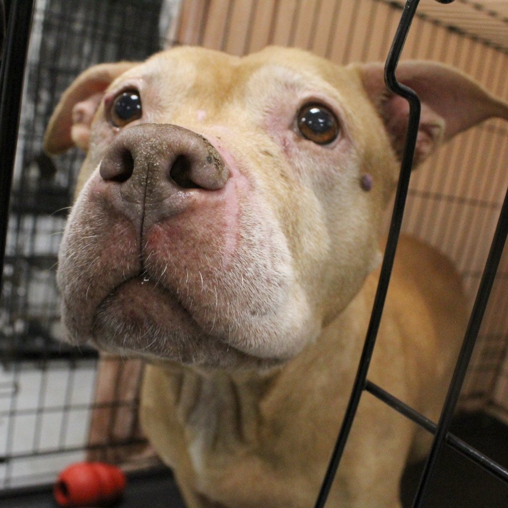 Sandy — thumbnail 4